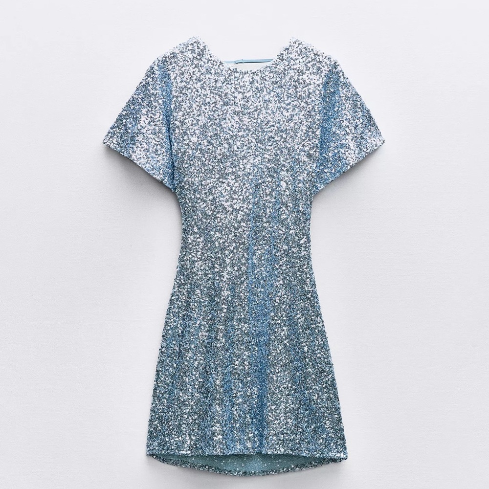 Sparkling Silver Sequin Dress